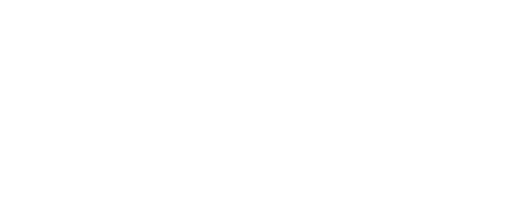 dpdl logo white